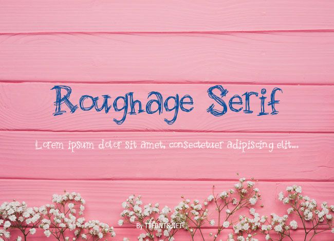 Roughage Serif example